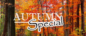 Fall Special